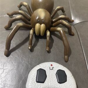 Discovery RC Remote Control tarantula Spider Toy